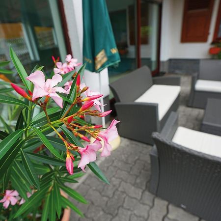 Landhotel Gasthof Zwota Klingenthal Exteriér fotografie