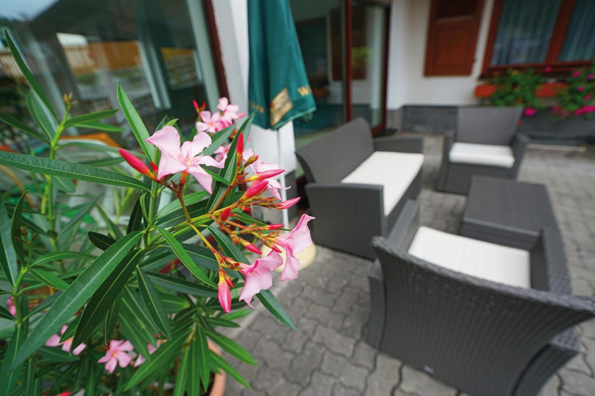 Landhotel Gasthof Zwota Klingenthal Exteriér fotografie