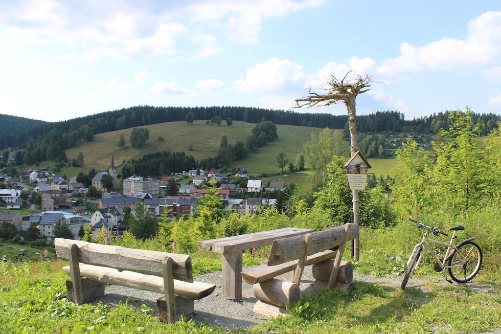 Landhotel Gasthof Zwota Klingenthal Exteriér fotografie