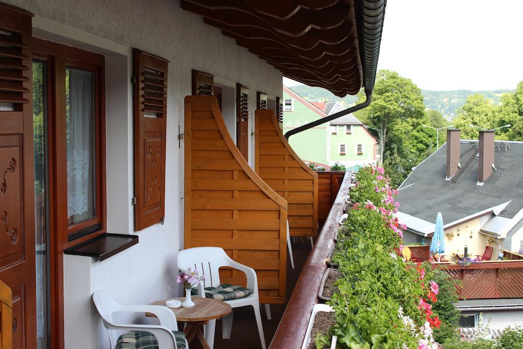 Landhotel Gasthof Zwota Klingenthal Exteriér fotografie
